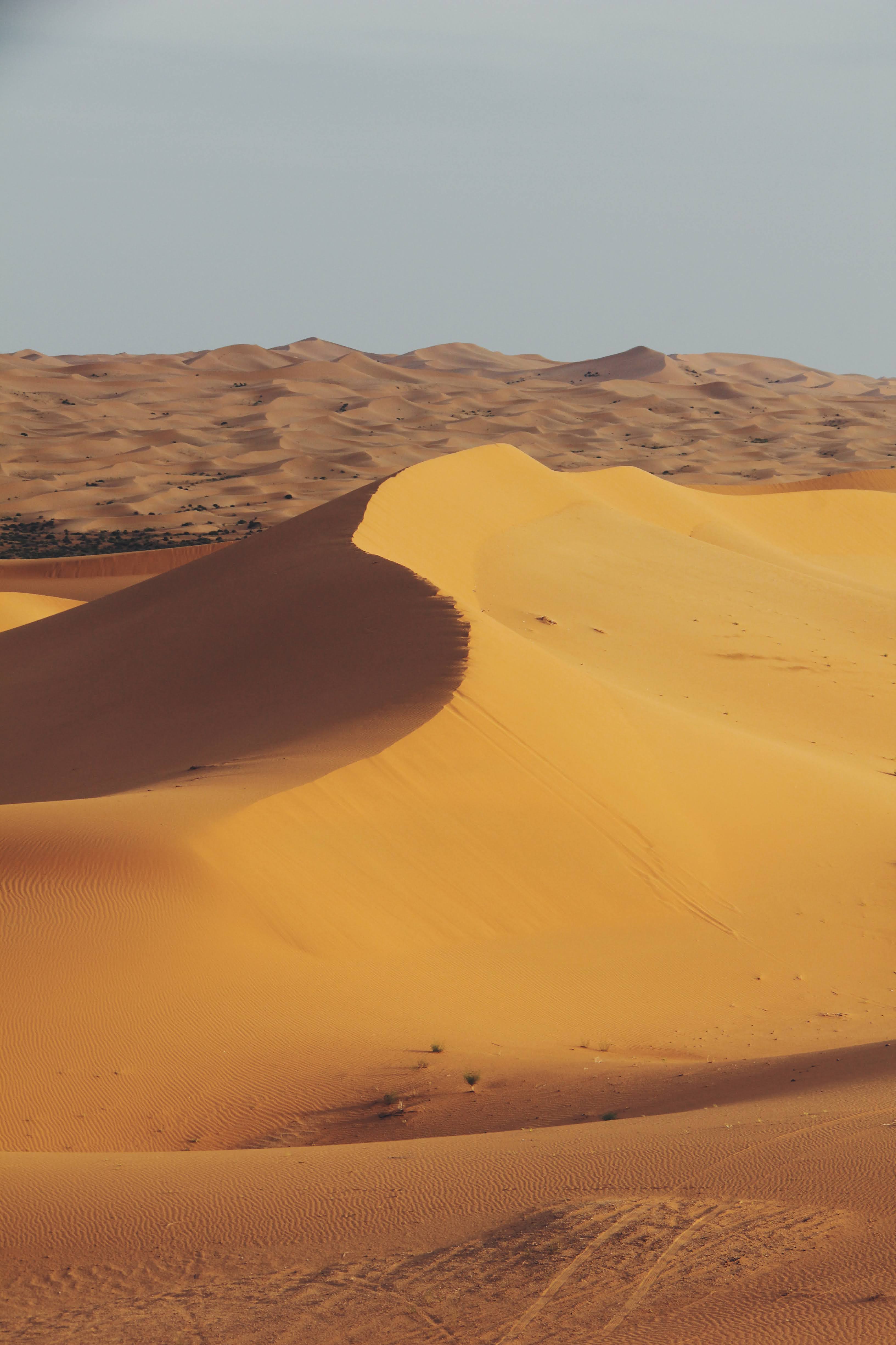 Inner Mongolia 2012 1